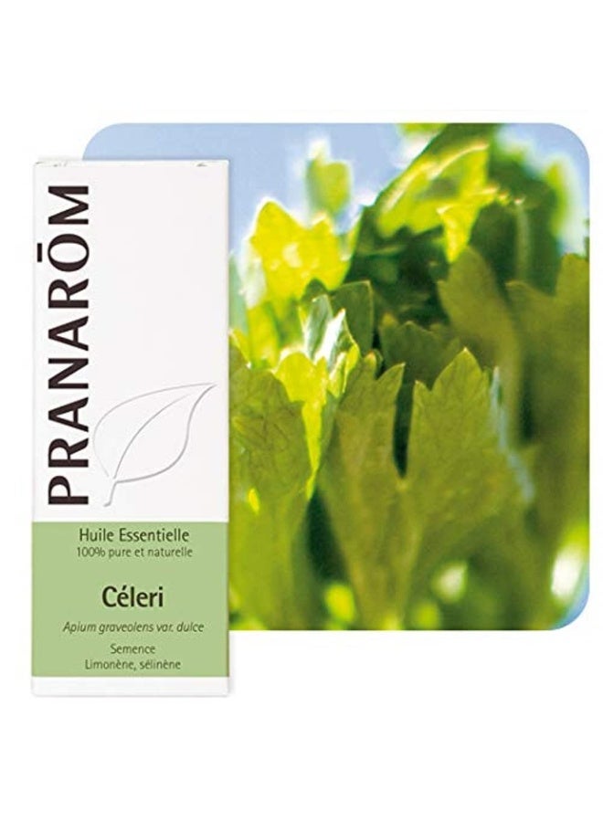 PRANAROM Pranarôm Essential Oil Celery (Apium graveolens var. dulce) 10 ml - Image 2